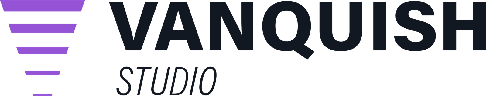 vanquishstudio